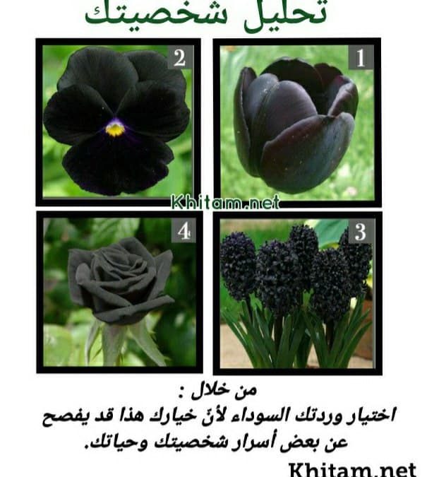 إختبار الوردة السوداء